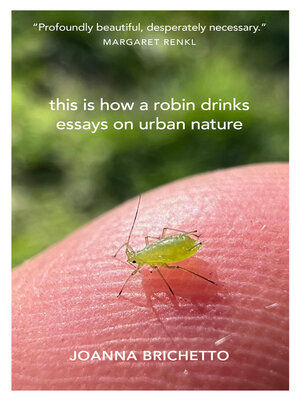 cover image of This Is How a Robin Drinks